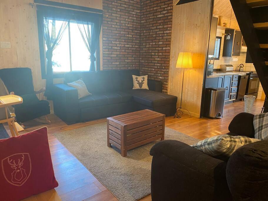 Le Jazz- Chalet Rustique/Chic Avec Spa Notre-Dame-Des-Bois Exterior photo